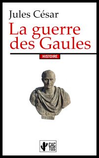 La guerre des Gaules