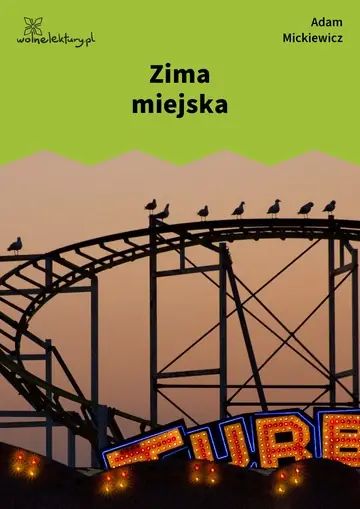 Zima miejska