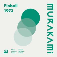 Pinball 1973