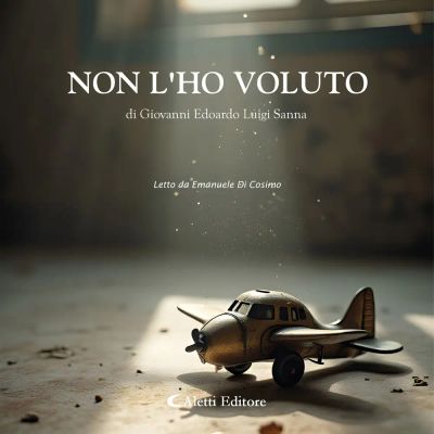 Non l'ho voluto