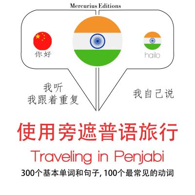 Panjabi中的旅行單詞和短語