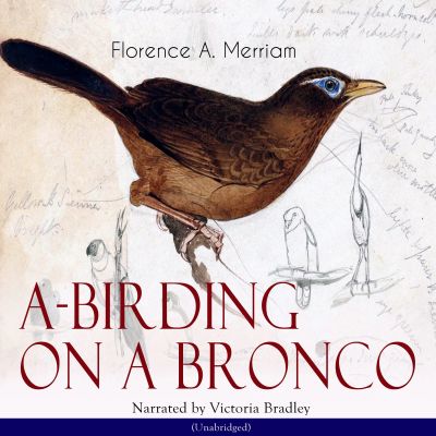 A-Birding on a Bronco cover