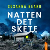 Natten det skete