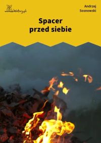 Spacer przed siebie