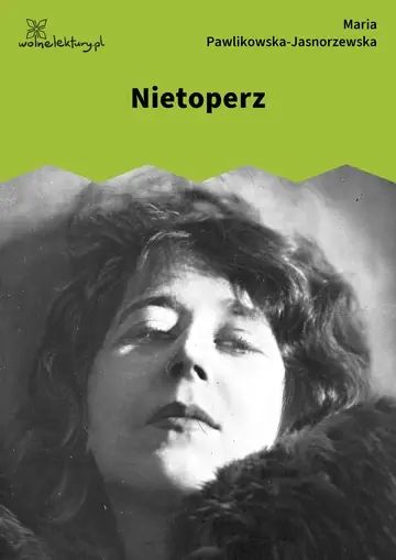 Nietoperz