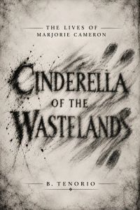 CINDERELLA OF THE WASTELANDS