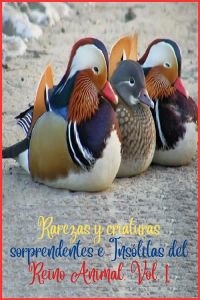 Rarezas y criaturas sorprendentes e Insólitas del Reino Animal. Vol. 1
