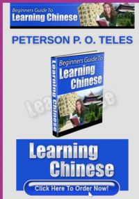 Beginners Guide To Learning Chinese