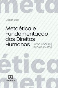 Metaética e Fundamentação dos Direitos Humanos