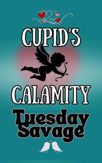 Cupid's Calamity 