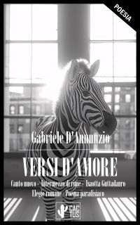 Versi d'amore
