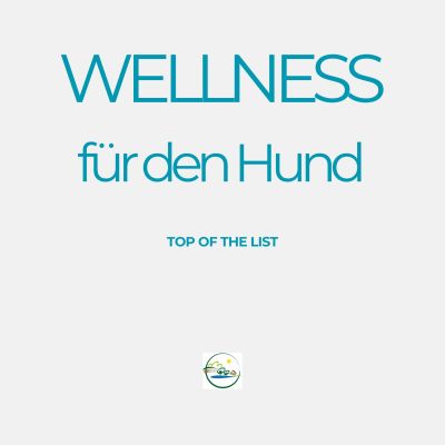 Wellness für den Hund