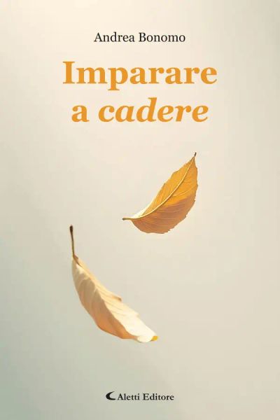 Imparare a cadere