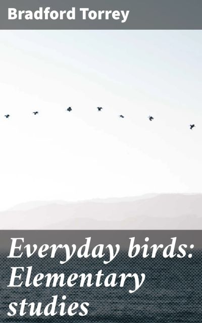 Everyday birds: Elementary studies