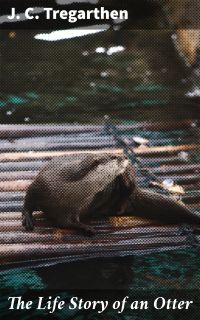 The Life Story of an Otter