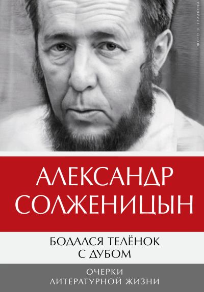 Бодался телёнок с дубом. Очерки литературной жизни