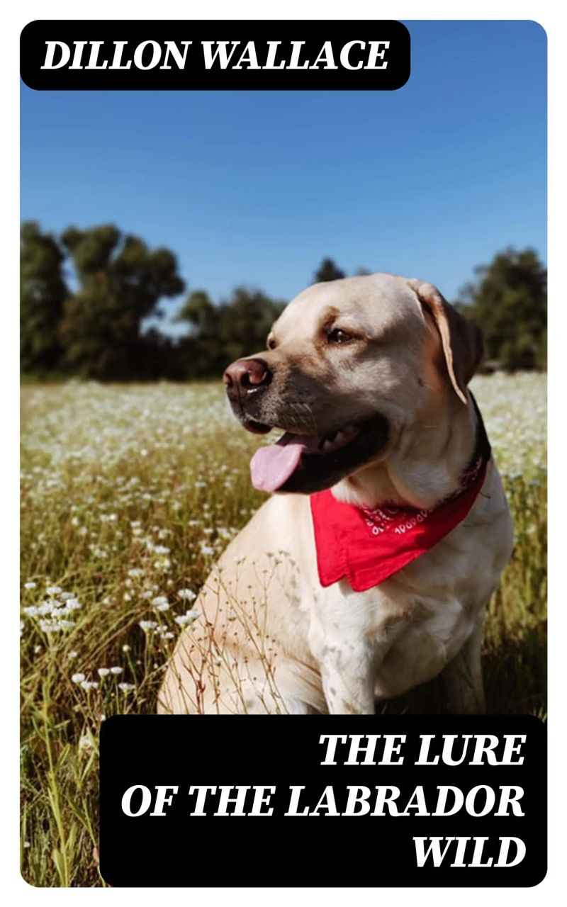 The Lure of the Labrador Wild