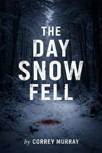 The Day Snow Fell