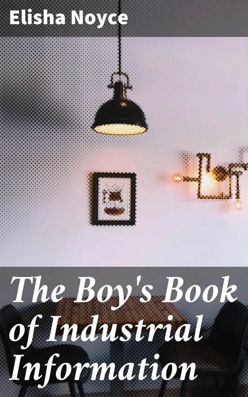 The Boy's Book of Industrial Information