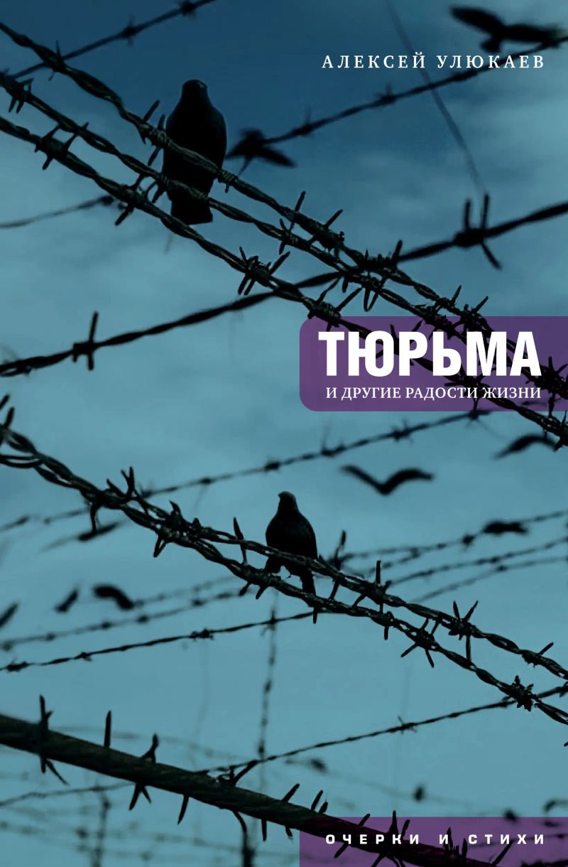 Тюрьма и другие радости жизни: очерки и стихи