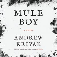 Mule Boy