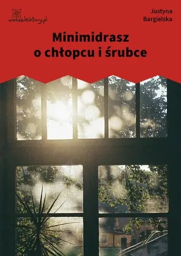 Minimidrasz o chłopcu i śrubce