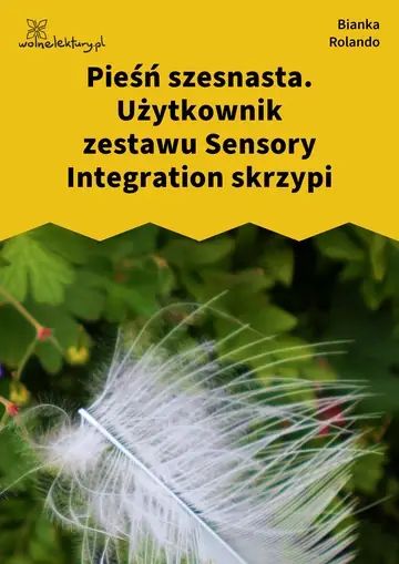 Pieśń szesnasta. Użytkownik zestawu Sensory Integration skrzypi