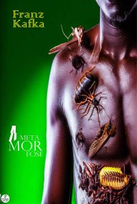 A Metamorfose