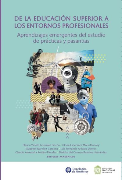 De la educación superior a los entornos profesionales
