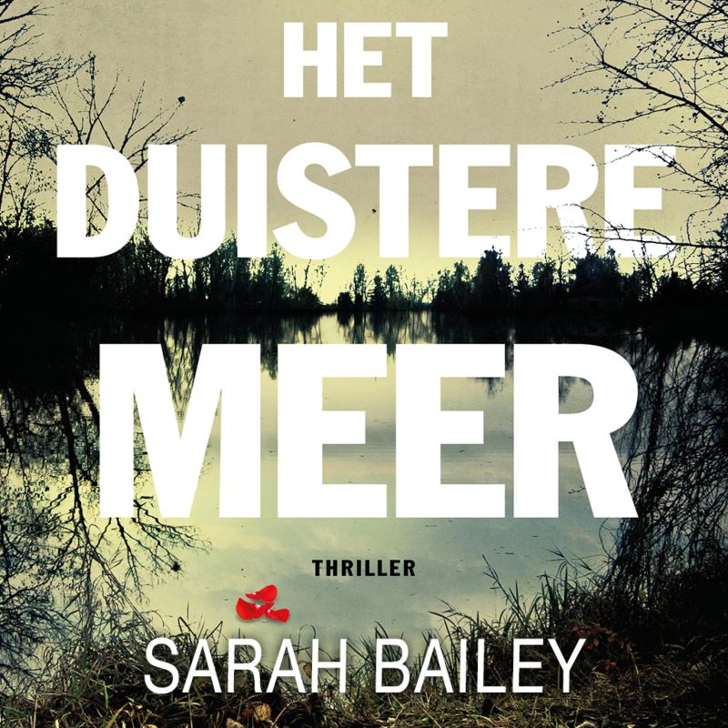 Het duistere meer