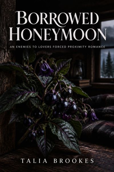 Borrowed Honeymoon