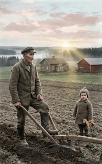 Kotipellon kynnökseltä: Kertomuksia