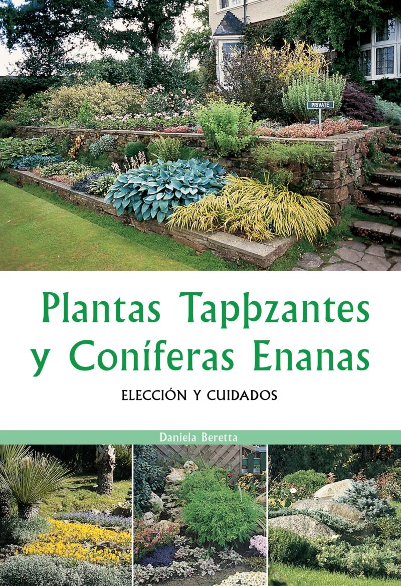 Plantas tapizantes y coníferas enanas