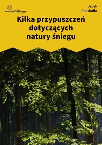 Kilka przypuszczeń dotyczących natury śniegu