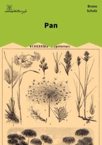 Pan