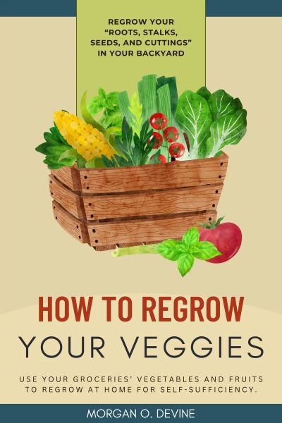 How to Regrow Your Veggies