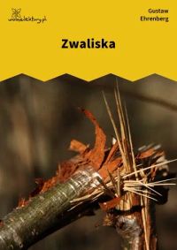 Zwaliska