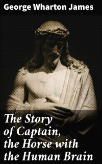 The Story of Captain, the Horse with the Human Brain