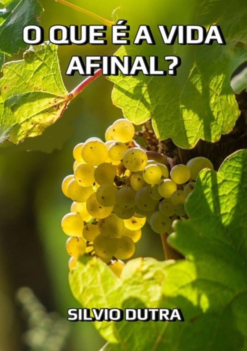 O Que É Afinal A Vida?