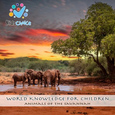 Animals of the savannah