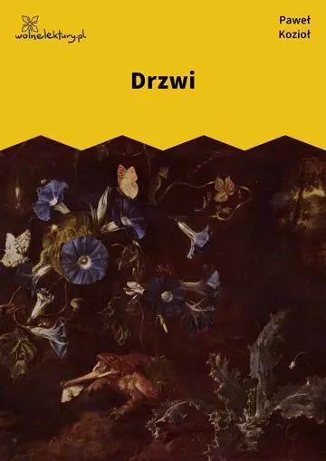 Drzwi