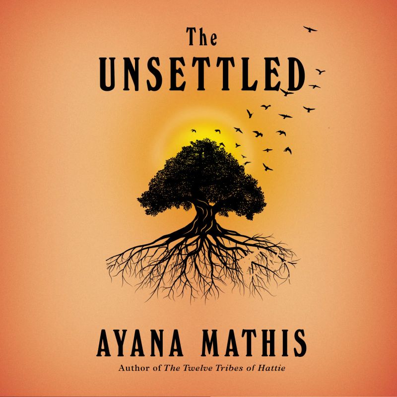 The Unsettled