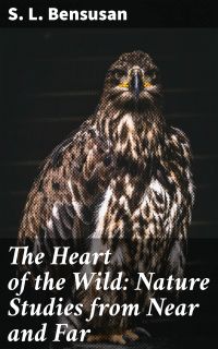 The Heart of the Wild: Nature Studies from Near and Far