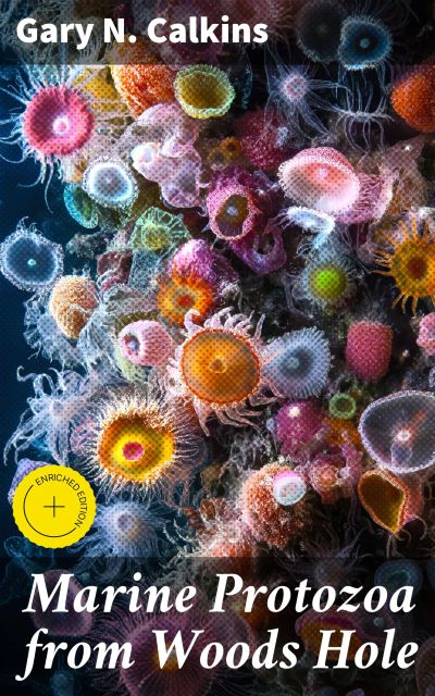 Marine Protozoa from Woods Hole