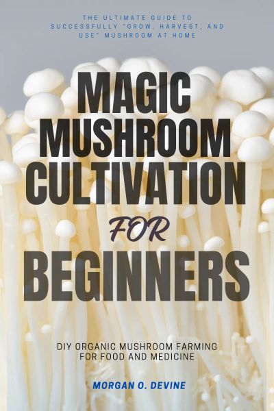 Magic Mushroom Cultivation for Beginners