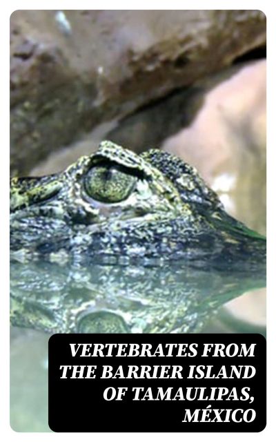 Vertebrates from the Barrier Island of Tamaulipas, México