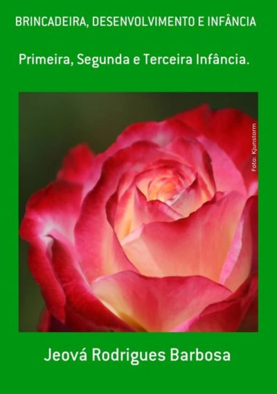 Brincadeira, Desenvolvimento E Infância
