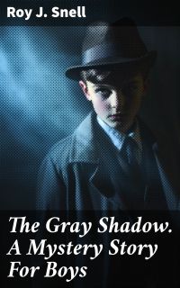The Gray Shadow. A Mystery Story For Boys
