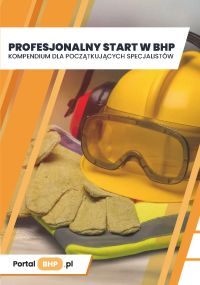 Profesjonalny start w BHP. Kompendium dla początkujących specjalistów