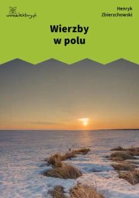 Wierzby w polu